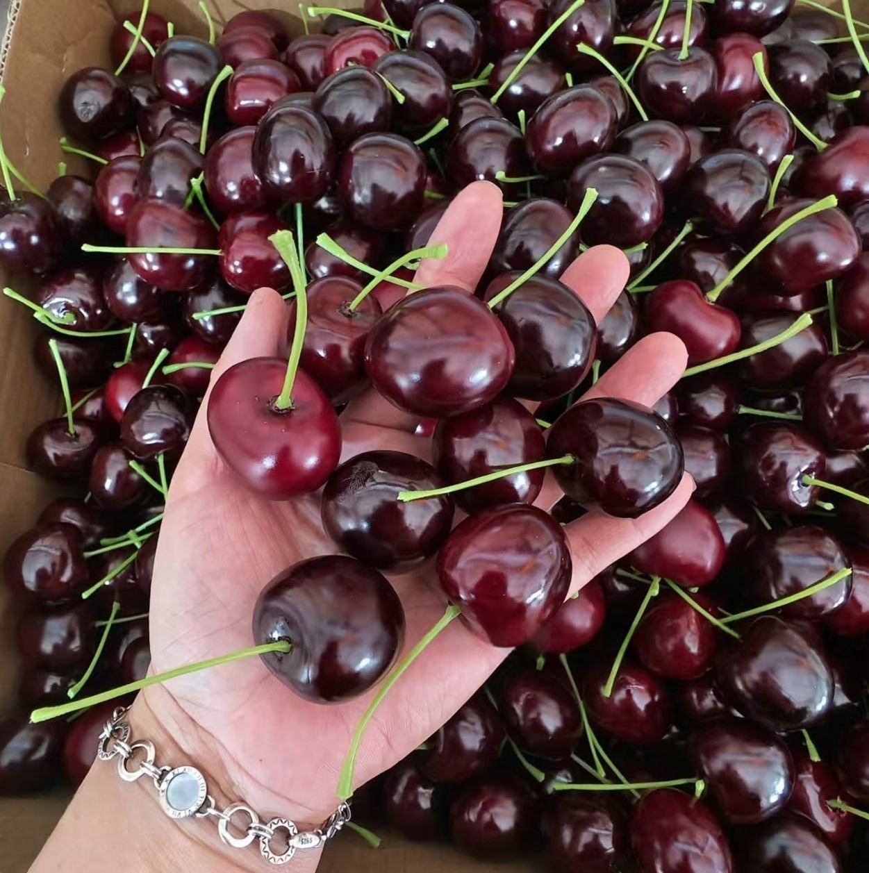 Simulation Cherry Model Photography Props Artificial Cherry Polyfoam Crafts Cherry Fruit Decorations Fake Artificial Cherry Foam