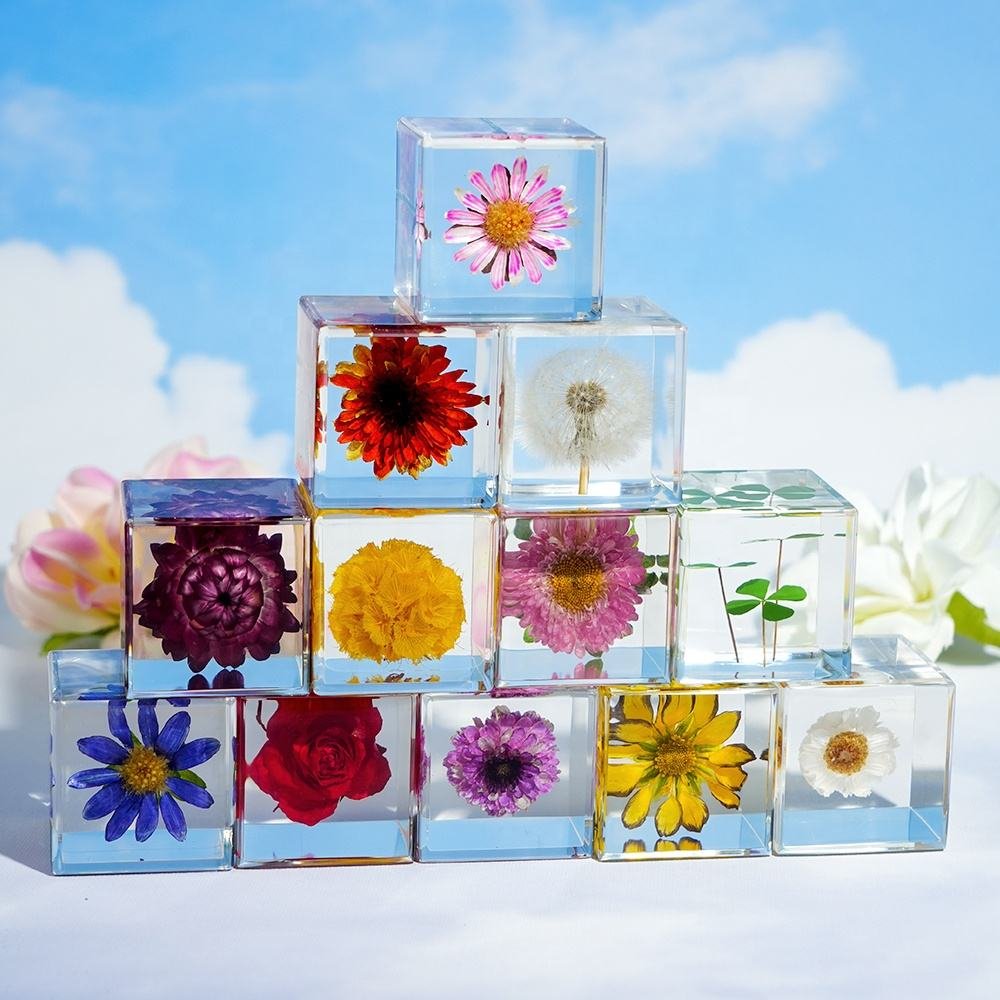 Real Flowers Cabe Resin Crafts Home Decor Items Plant Collection Harvest Gift Set Creative & Cultural Collectible Artifacts