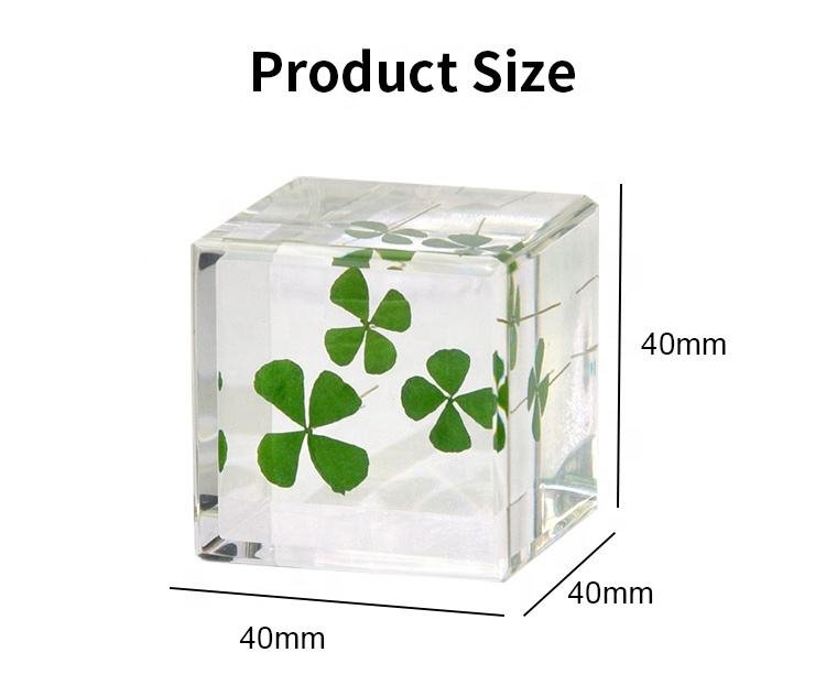 Real Flowers Cabe Resin Crafts Home Decor Items Plant Collection Harvest Gift Set Creative & Cultural Collectible Artifacts