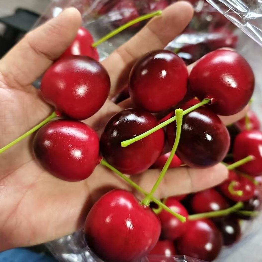 Simulation Cherry Model Photography Props Artificial Cherry Polyfoam Crafts Cherry Fruit Decorations Fake Artificial Cherry Foam