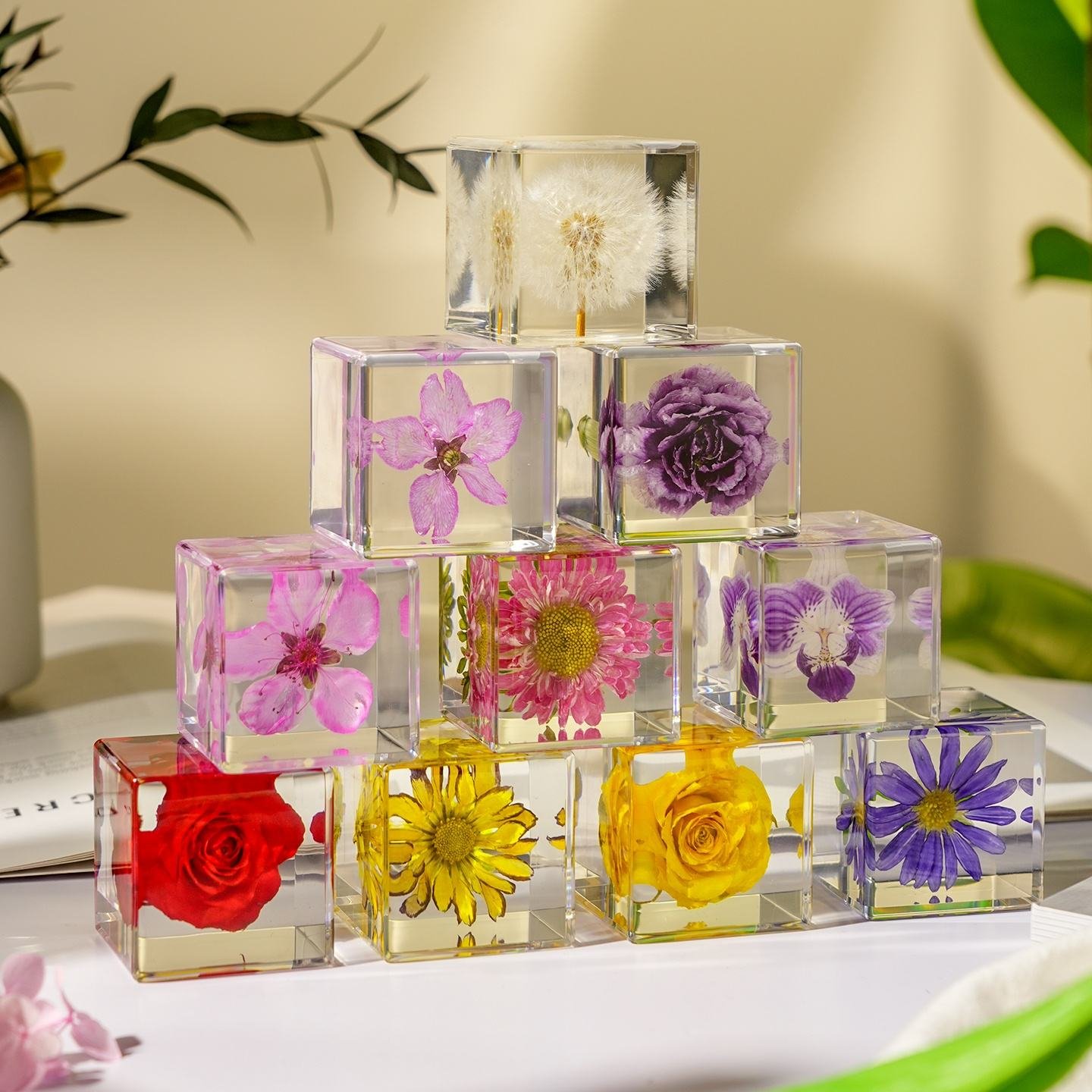 Real Flowers Cabe Resin Crafts Home Decor Items Plant Collection Harvest Gift Set Creative & Cultural Collectible Artifacts