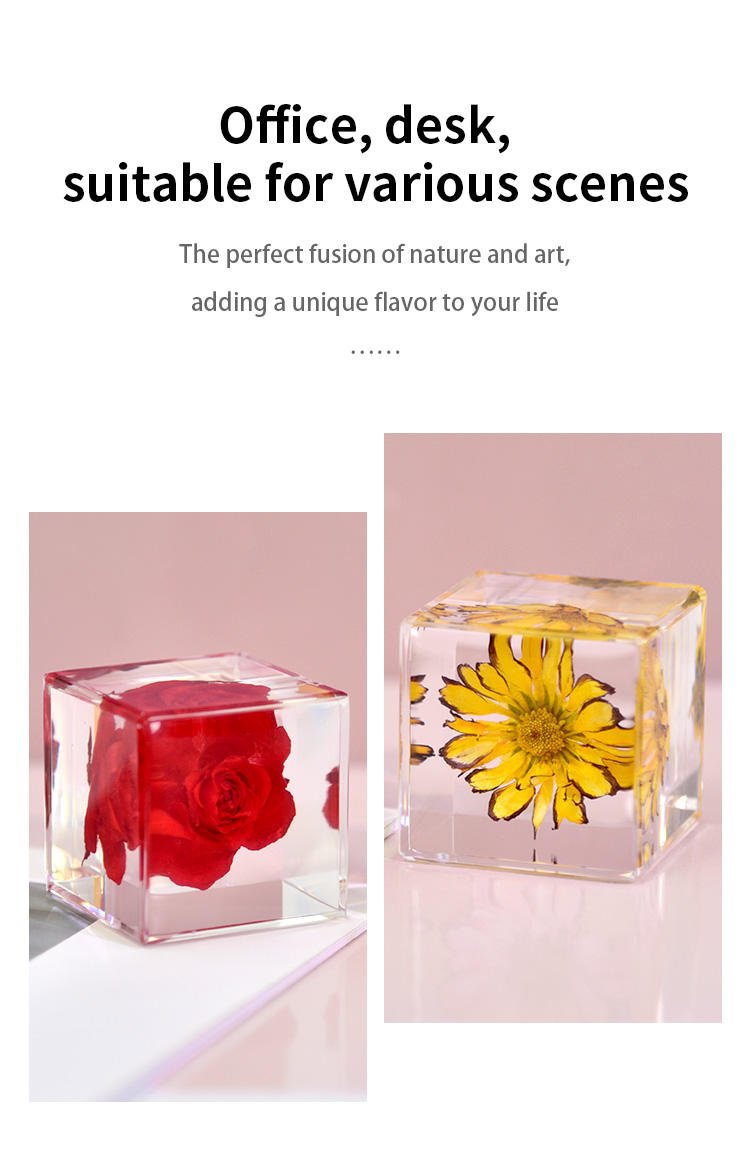Real Flowers Cabe Resin Crafts Home Decor Items Plant Collection Harvest Gift Set Creative & Cultural Collectible Artifacts